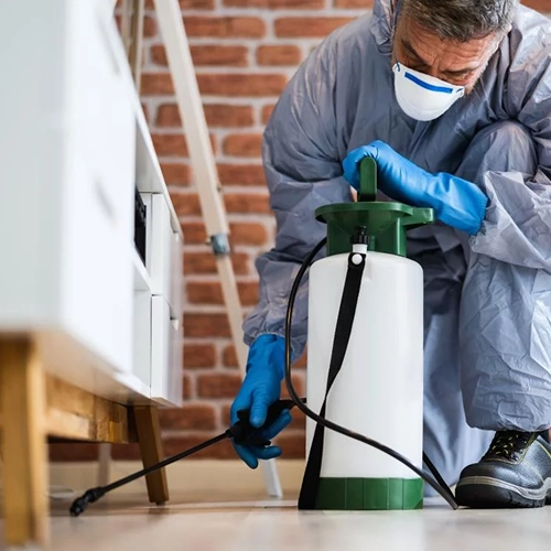 Exterminators